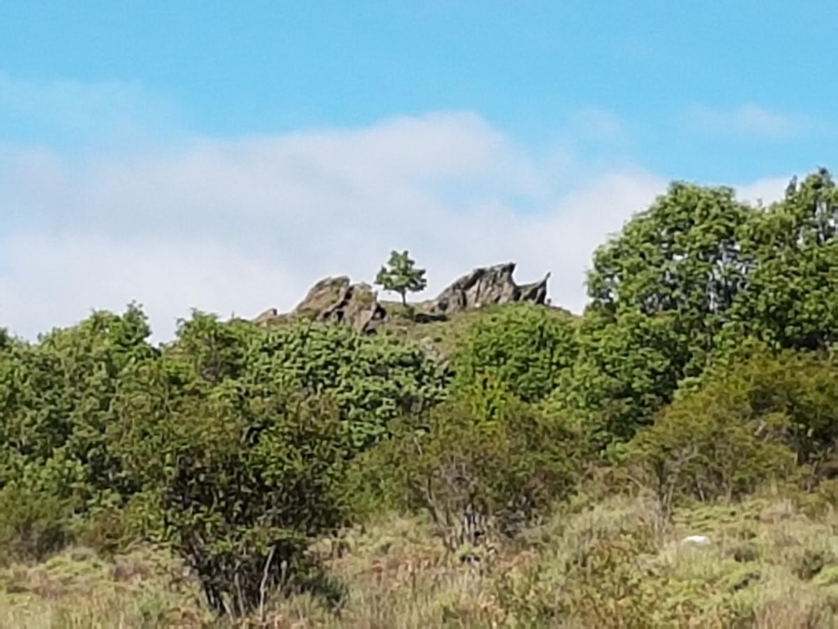 La Posada De Horcajuelo Horcajuelo de la Sierra Exterior foto