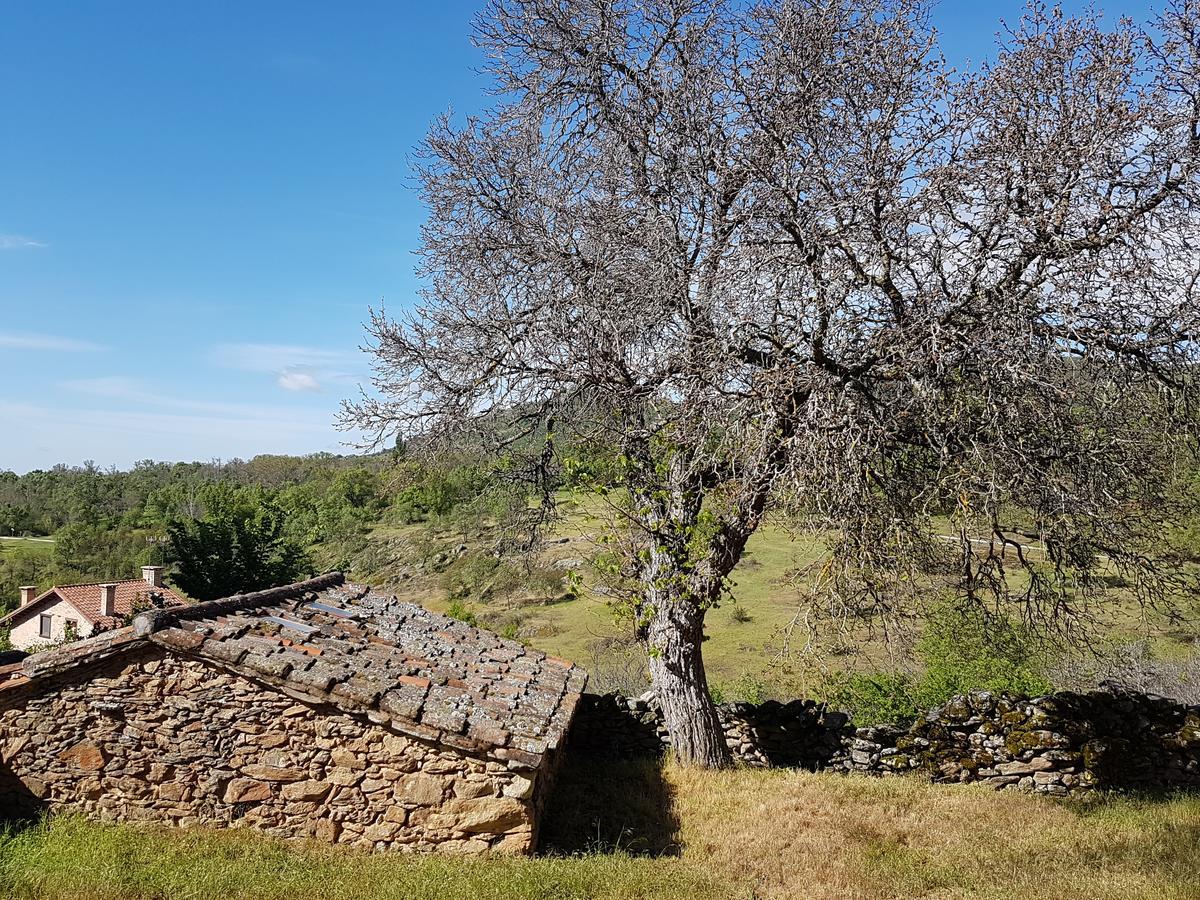 La Posada De Horcajuelo Horcajuelo de la Sierra Exterior foto