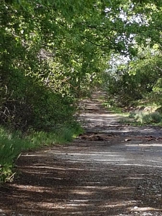 La Posada De Horcajuelo Horcajuelo de la Sierra Exterior foto